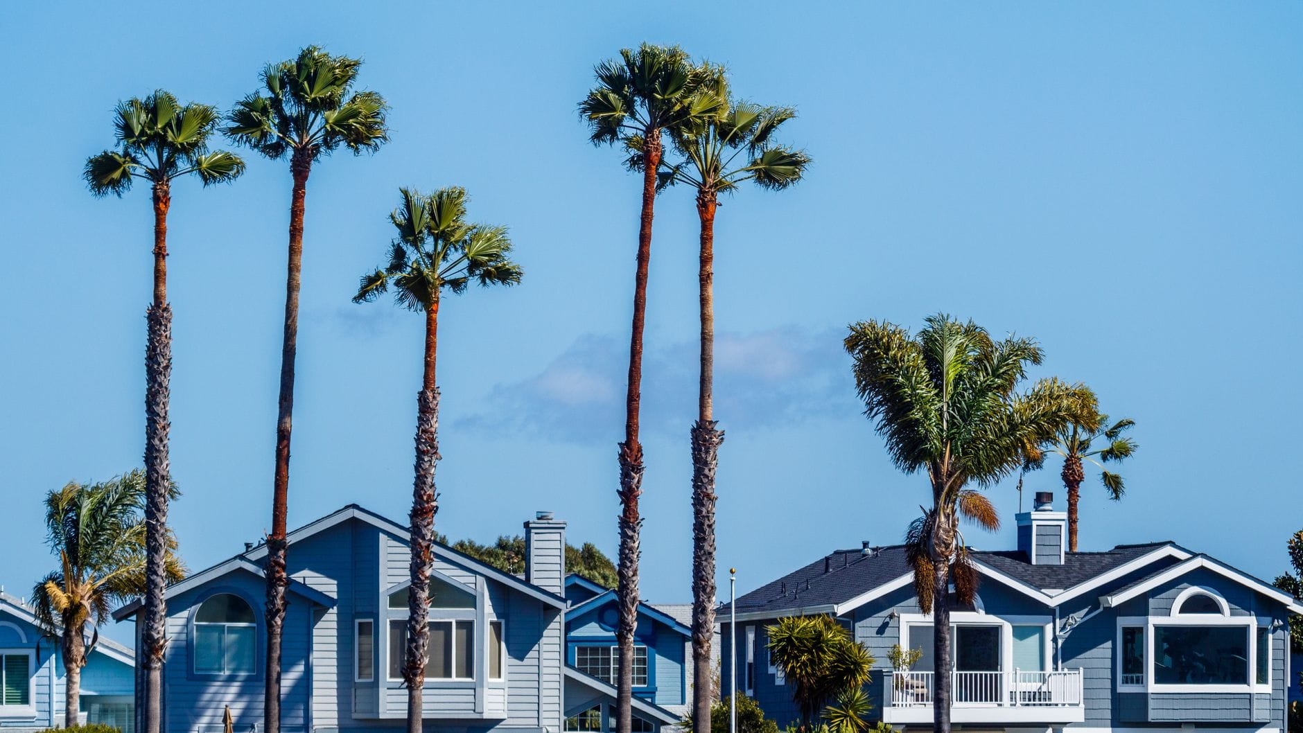 Serene seaside neighborhood with palm trees and charming houses under a clear blue sky. — Laguna Beach real estate